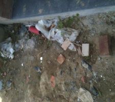 01/08/2012 - Etat du terrain