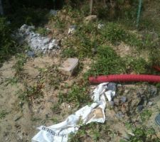 01/08/2012 - Etat du terrain