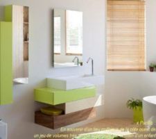 MEuble salle de bain enfant mais au lieu du vert anis : turquoise, et au lieu du bois en bas, ce sera gris clair
