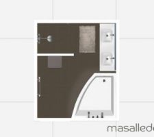 Projet salle de bain rdc
