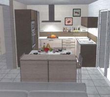Cuisine schmidt vue salon