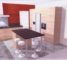 Même projet IXINA mais avec changement de l'ilot et plus de tiroirs coulissants que de portes et mur rouge 1