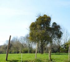 Terrain de 800 m&sup2;. Vue 3/4 &agrave; gauche