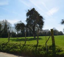 Terrain 800 m&sup2;. Vue 3/4 droite