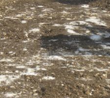 Terrain argilo calcair