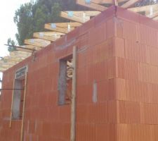 Charpente de l'annexe posée mais pas fixée.