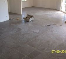 Salle de séjour, Salon