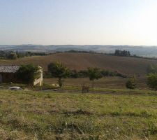 Vue partielle du haut du terrain