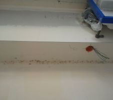 Un coin de la salle de bain malheureusement moisi... Apr&egrave;s nettoyage il y en a moins maintenant...