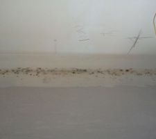 Moisissures dans le couloir cette fois ci
