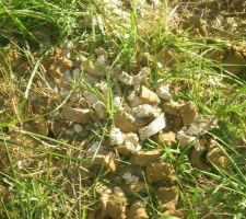 Trace de l'&eacute;tude de sol