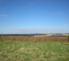 Notre prochaine vue de la terrasse!