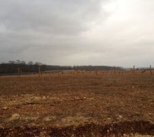 Terrain en cour d'acquisition