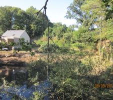 La maison ce trouvera au niveau du tas de branche au milieu de la photo