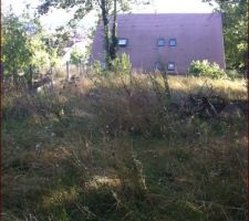 Voici notre terrain:

la fa&ccedil;ade avant de la maison sera implante a gauche de la photo