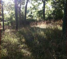 Et il se termine a la moitie de cette image