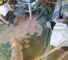 La découpe des bandes de résilience en fibre de bois ... Ou le retour des martiens !!
