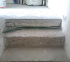 Marche &agrave; carreler mais &agrave; reprendre avant &agrave; cause des gaines &eacute;lectriques