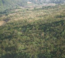 Vue du cot&eacute; A