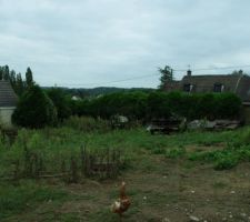 Photo fond du terrain vers fa&ccedil;ade avant.