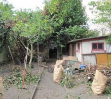 Le jardin, avec au fond la cabane. a droite d'autres cabanes