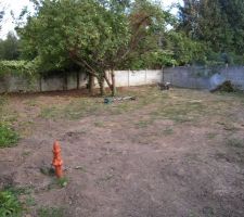 Terrain nettoy&eacute;