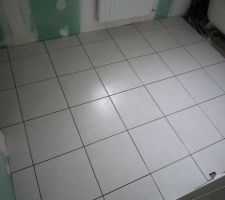 Fa&iuml;ences salle de bain : sol