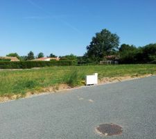 Terrain - vue de gauche