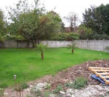 Le jardin avec l'herbe poussée