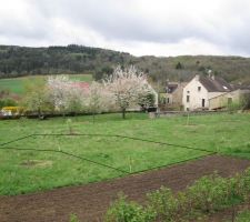 Un apper&ccedil;u du terrain avec l'implantation sh&eacute;matis&eacute;e (m&ecirc;me si &ccedil;a a &eacute;t&eacute; un peu d&eacute;cal&eacute; depuis...).