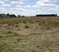 Avant d&eacute;broussaillage