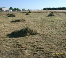 Apr&egrave;s d&eacute;broussaillage!