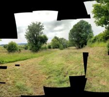En cours de d&eacute;broussaillage, avant l'abattage du fr&ecirc;ne trop pr&ecirc;t de la maison.