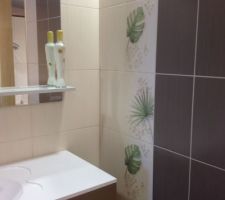 Carrelage de la salle de bain