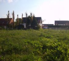 VUE DU FOND DU TERRAIN