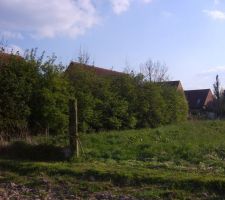 VUE DU FOND DU TERRAIN