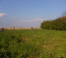 VUE DE L' AVANT DU TERRAIN