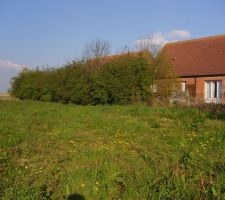 VUE DE L'AVANT DU TERRAIN