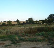 2520 m2 (40 x 63 m)