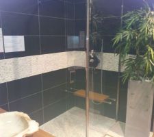 La frise "CITY RAIN" dans la douche sera remplacée par un rang de galets comme ci-dessous.