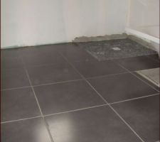 Carrerale sol choisi!!