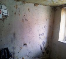 Chambre 2:
Un cauchemar du sol au plafond :
Un plancher vernis sur lequel était posé une moquette avec 3 tonnes de colle par m2. Des murs qui comportent peinture de toute sorte y compris au plombs, enduits de finitions, plâtre brut, chaux etc... sur lequel on avait posé 3 couches de papier peint. Le plafond lui est au plâtre sur canisse. Étaient collées des plaques de polystyrène. Bref un énorme boulot en perspective !
