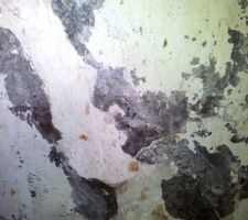 Et là un détail du mur en question. Je pense reprendre l'enduit au SIM. Mais quel boulot !