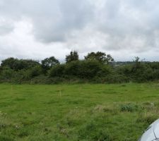 Haie avant d&eacute;brousaillage