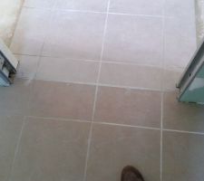 Le carrelage couleur moka c'est celui de la 
Sdb et le gris c'est celui des autres pi&egrave;ces &agrave; part les chambres.