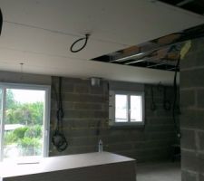 Vue du RDC en cours de plaquage