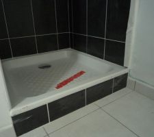 La petite marche devant la douche.