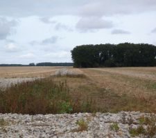 D&eacute;sherbage, d&eacute;sherbage, tout &agrave; la main.