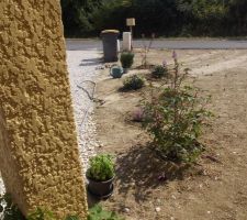 Une petite haie sur le côté de la maison