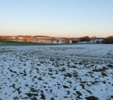 Froid de canard, mais sans eux...